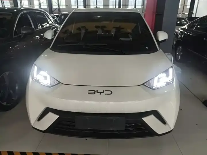 Seagull 2025 Model, 305 km, Freedom Edition 3