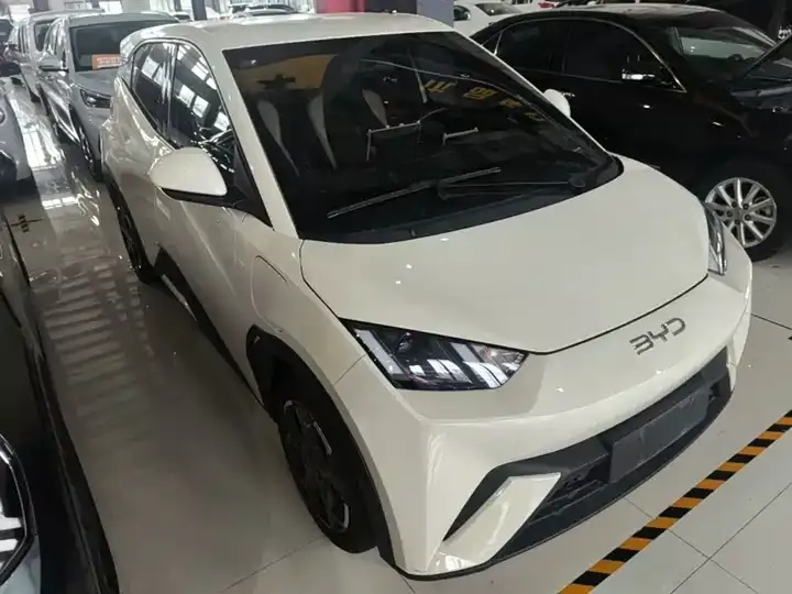Seagull 2025 Model, 305 km, Freedom Edition 4
