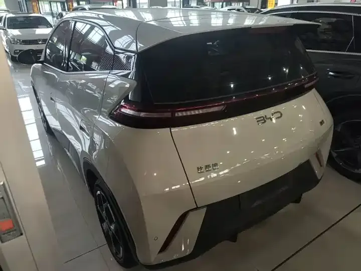 Seagull 2025 Model, 305 km, Freedom Edition 5