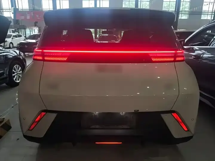 Seagull 2025 Model, 305 km, Freedom Edition 6