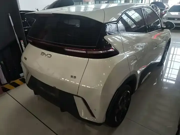 Seagull 2025 Model, 305 km, Freedom Edition 7