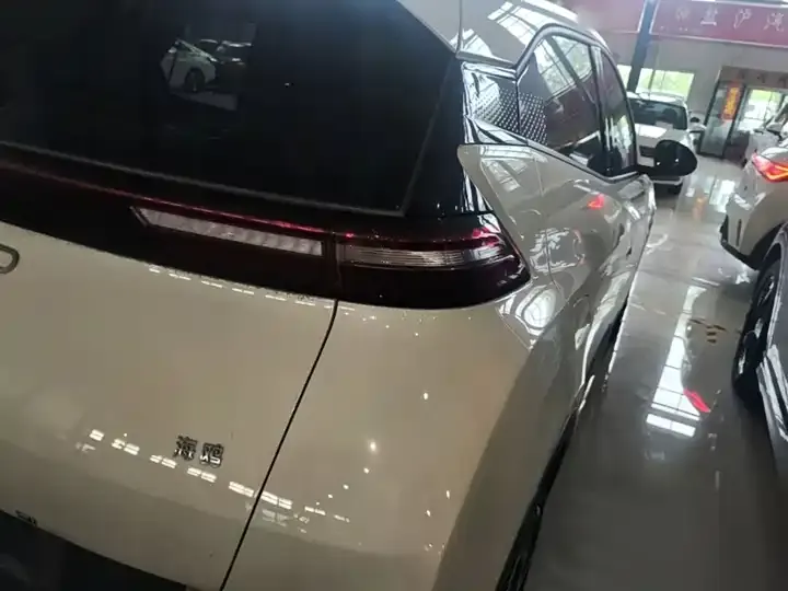 Seagull 2025 Model, 305 km, Freedom Edition 8