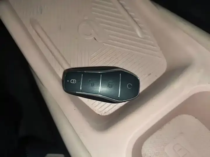 Seagull 2025 Model, 305 km, Freedom Edition 9