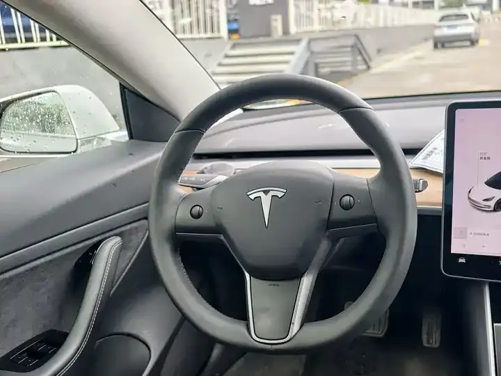 Model 3 2020 Standard Endurance Rear Drive Upgrade 12