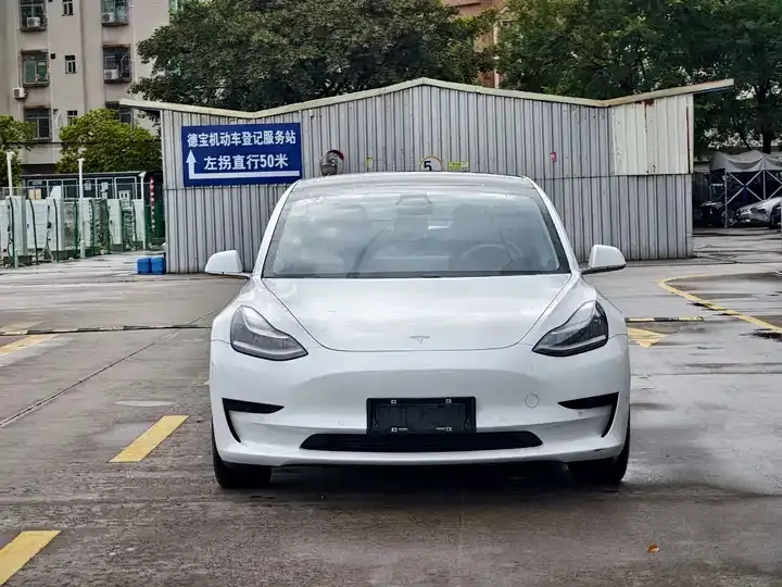 Model 3 2020 Standard Endurance Rear Drive Upgrade 2