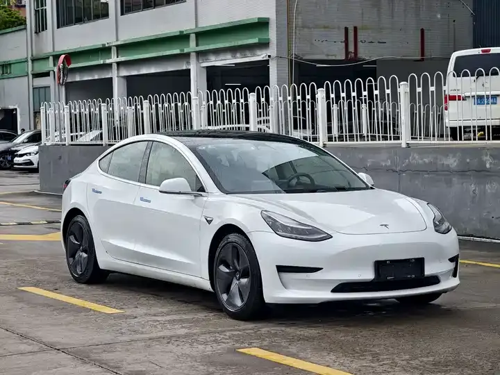 Model 3 2020 Standard Endurance Rear Drive Upgrade 3