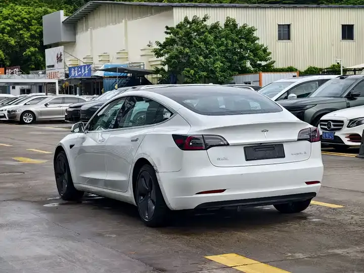 Model 3 2020 Standard Endurance Rear Drive Upgrade 4