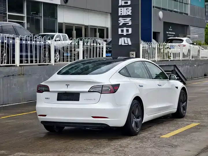 Model 3 2020 Standard Endurance Rear Drive Upgrade 6