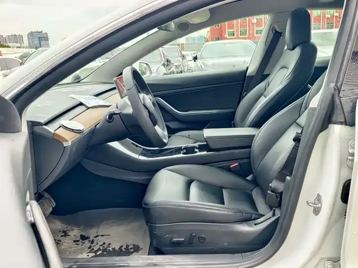 Model 3 2020 Standard Endurance Rear Drive Upgrade 8