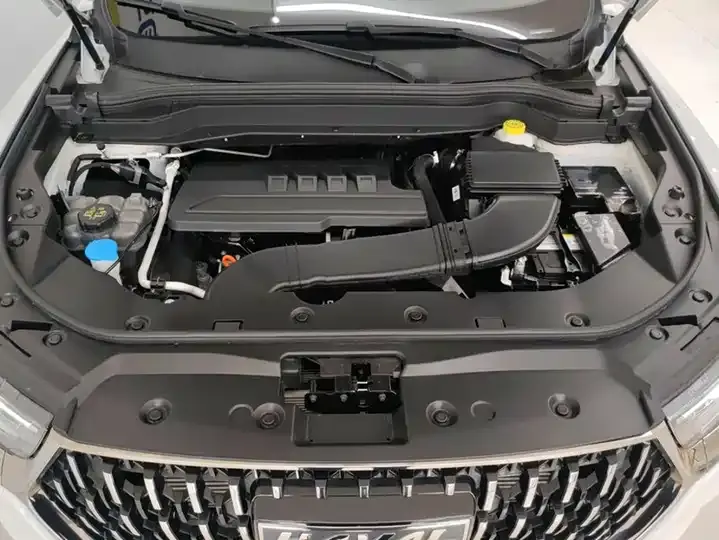 Haval H6 2023 National Tide Edition 1.5T Automatic City Edition 10
