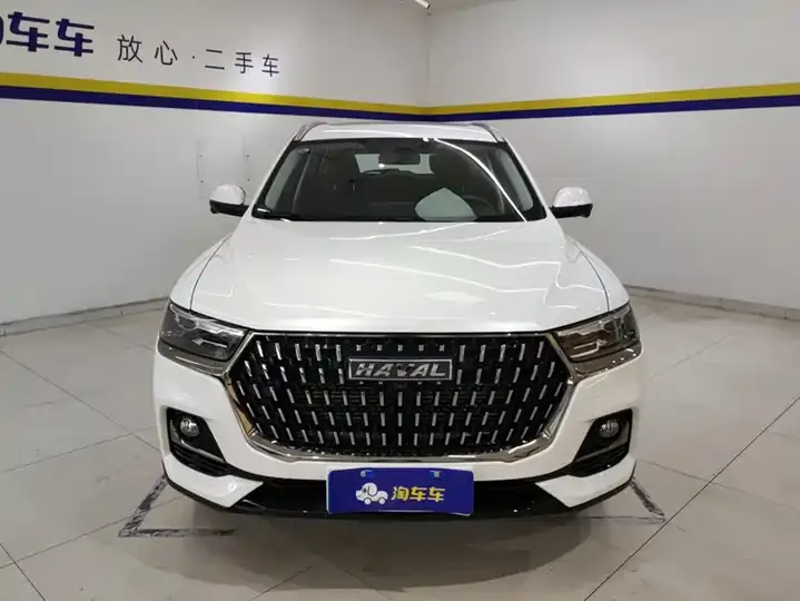Haval H6 2023 National Tide Edition 1.5T Automatic City Edition 2
