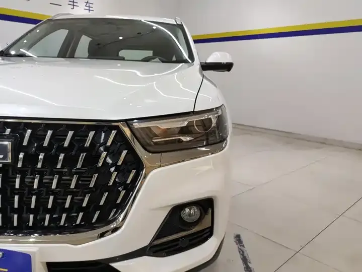 Haval H6 2023 National Tide Edition 1.5T Automatic City Edition 5