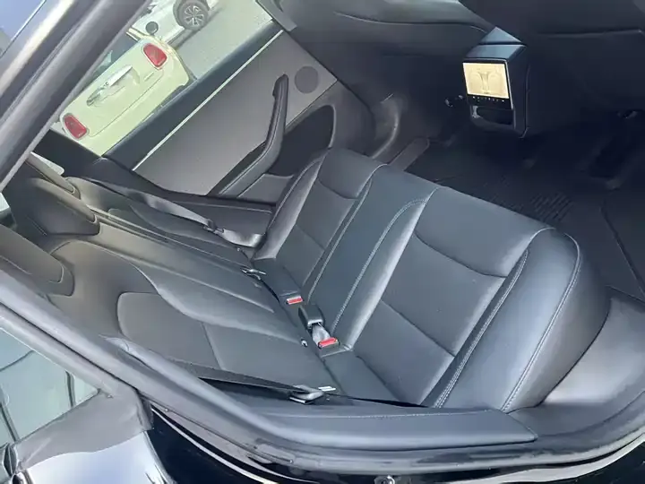 Model 3 2023 rear-wheel drive version 10