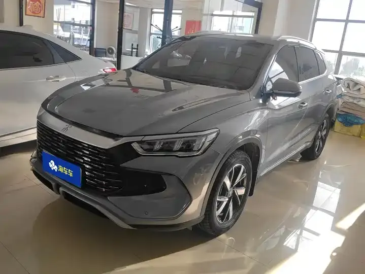 Song Pro New Energy 2023 Champion Edition DM-i 71KM Pilot - View 1
