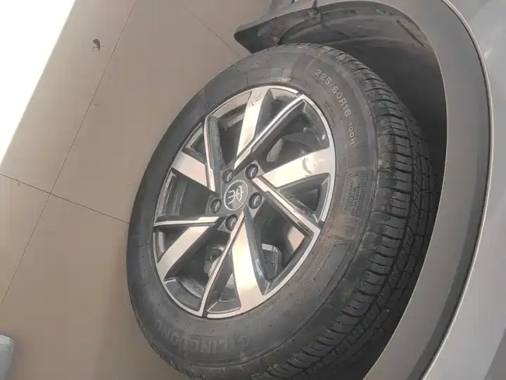 Song Pro New Energy 2023 Champion Edition DM-i 71KM Pilot 6