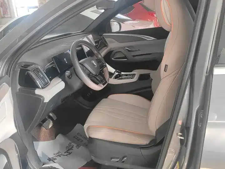 Song Pro New Energy 2023 Champion Edition DM-i 71KM Pilot 9