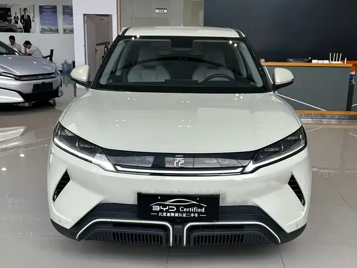 Yuan UP 2024 401KM Leading Model 2