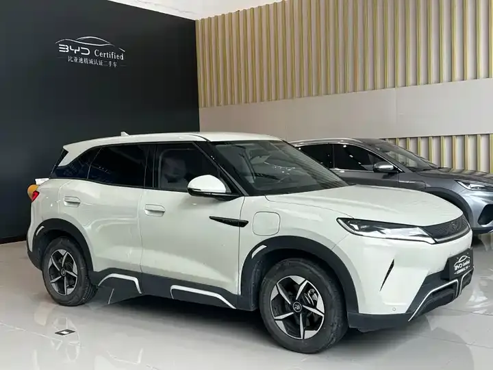 Yuan UP 2024 401KM Leading Model 3