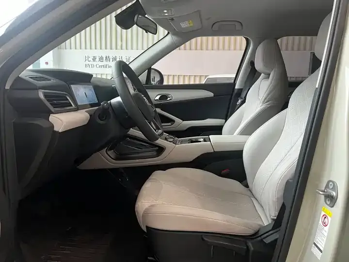Yuan UP 2024 401KM Leading Model 5