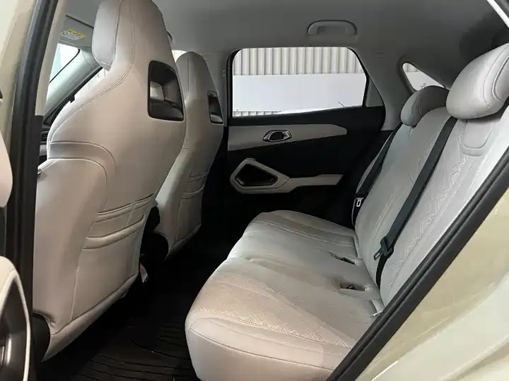 Yuan UP 2024 401KM Leading Model 6