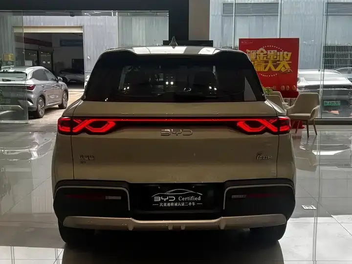 Yuan UP 2024 401KM Leading Model 8