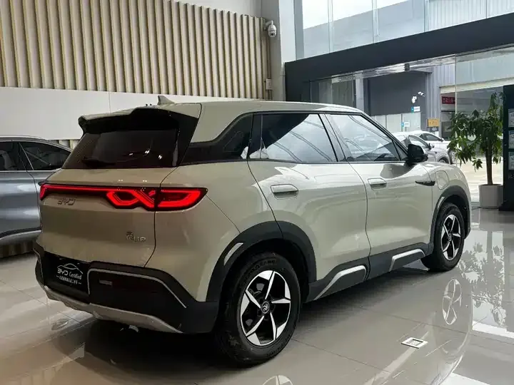 Yuan UP 2024 401KM Leading Model 9