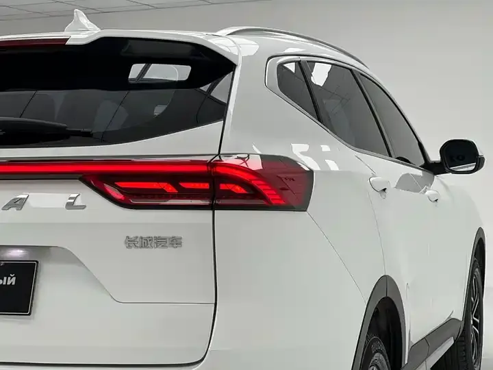 Haval H6 2021 National Tide Edition 1.5T Automatic City Edition 10