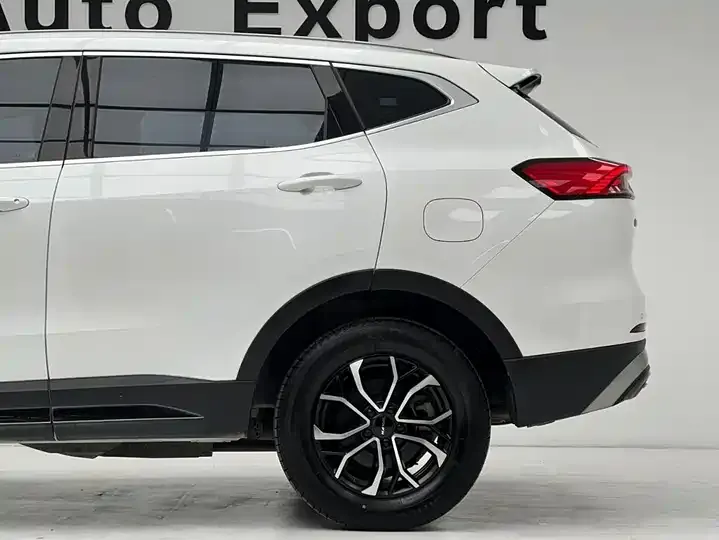 Haval H6 2021 National Tide Edition 1.5T Automatic City Edition 11