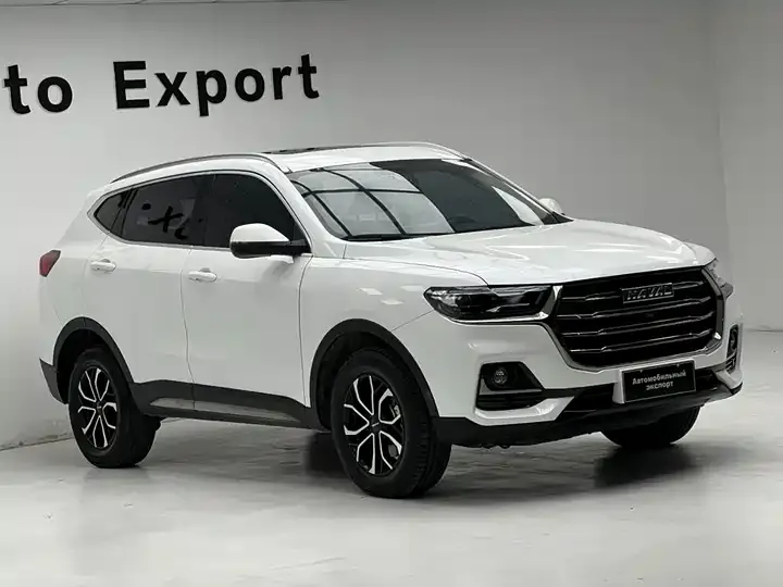 Haval H6 2021 National Tide Edition 1.5T Automatic City Edition 3