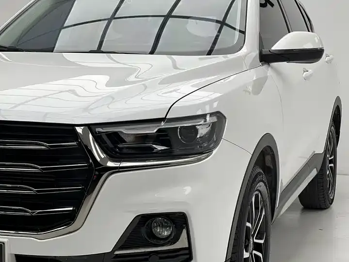 Haval H6 2021 National Tide Edition 1.5T Automatic City Edition 4
