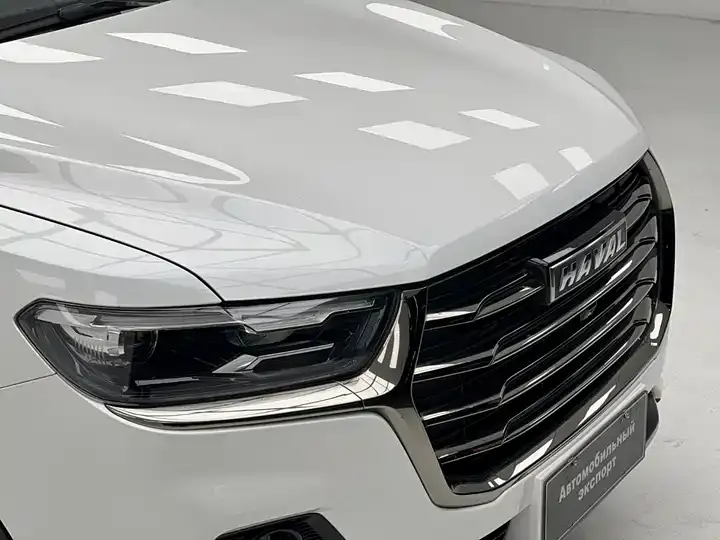 Haval H6 2021 National Tide Edition 1.5T Automatic City Edition 5