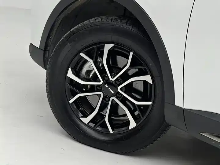 Haval H6 2021 National Tide Edition 1.5T Automatic City Edition 7