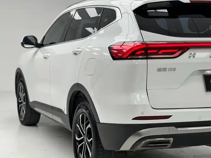 Haval H6 2021 National Tide Edition 1.5T Automatic City Edition 8