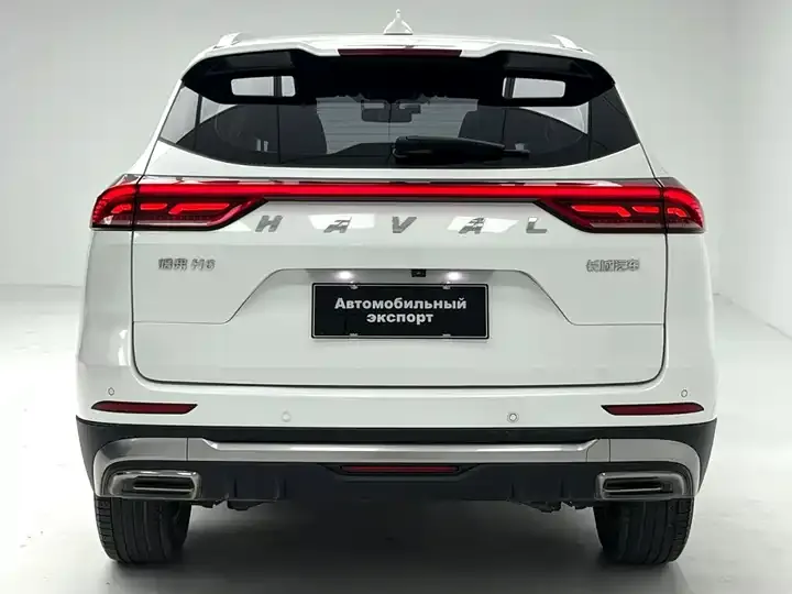 Haval H6 2021 National Tide Edition 1.5T Automatic City Edition 9
