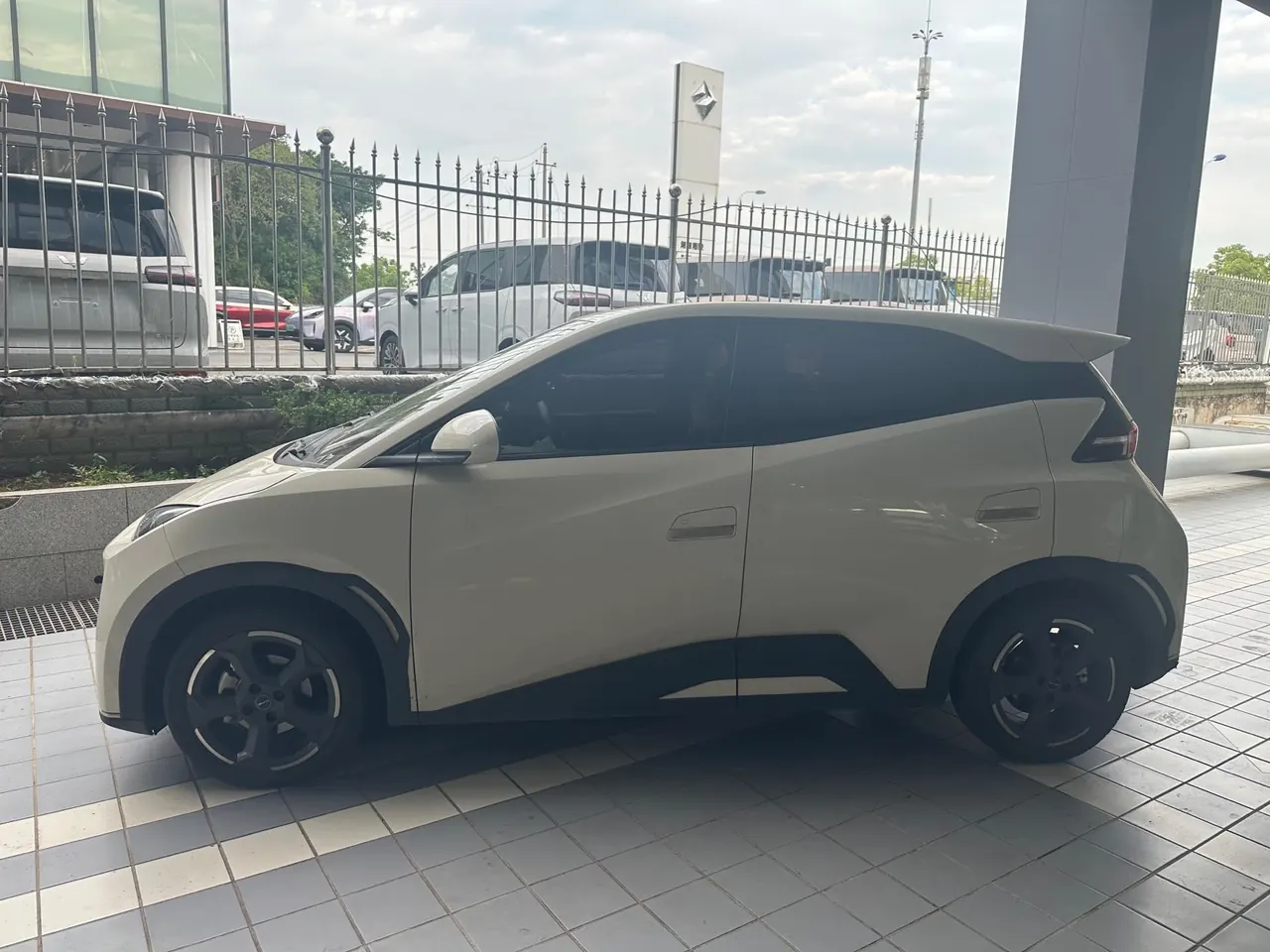 BYD 2023 seagull flying version automatic gear 3