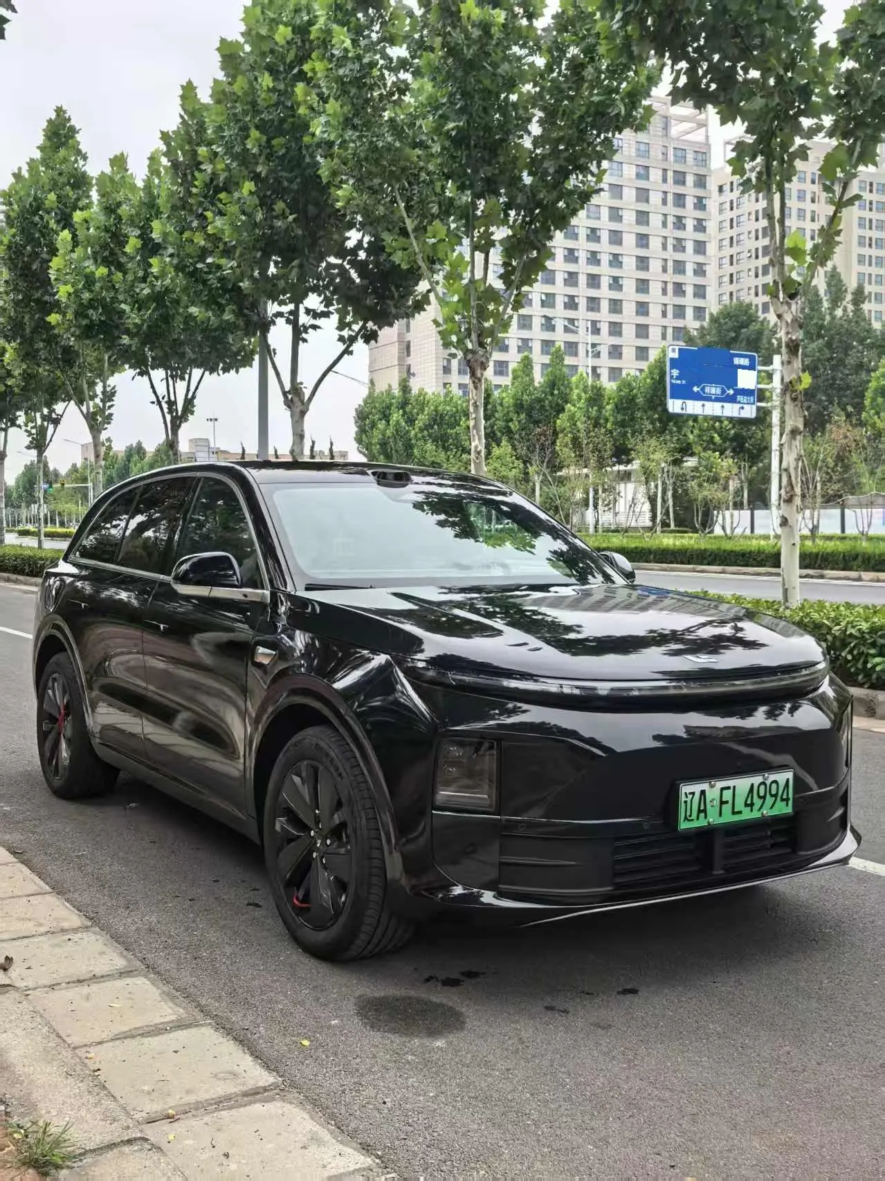Li 2025 L6 Pro Intelligent Rejuvenation Automatic Gear 3