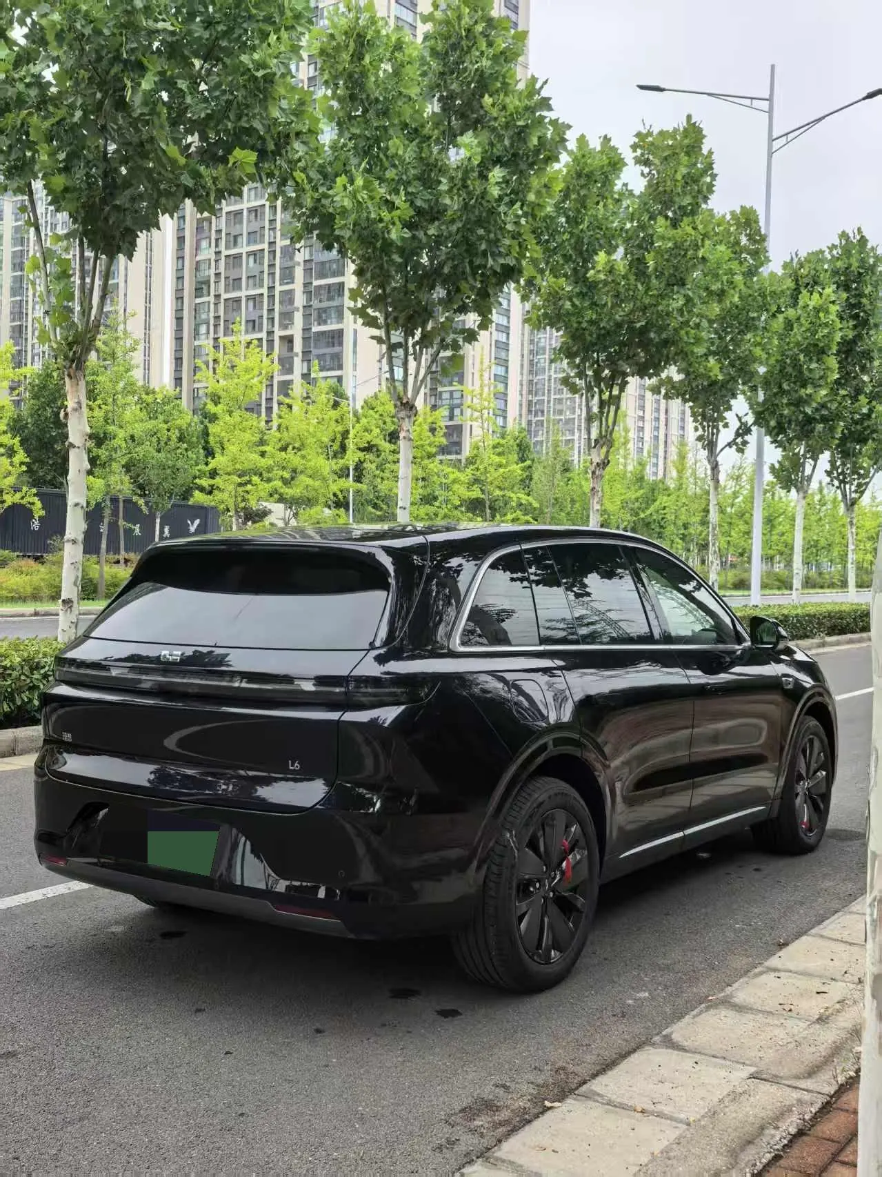 Li 2025 L6 Pro Intelligent Rejuvenation Automatic Gear 6