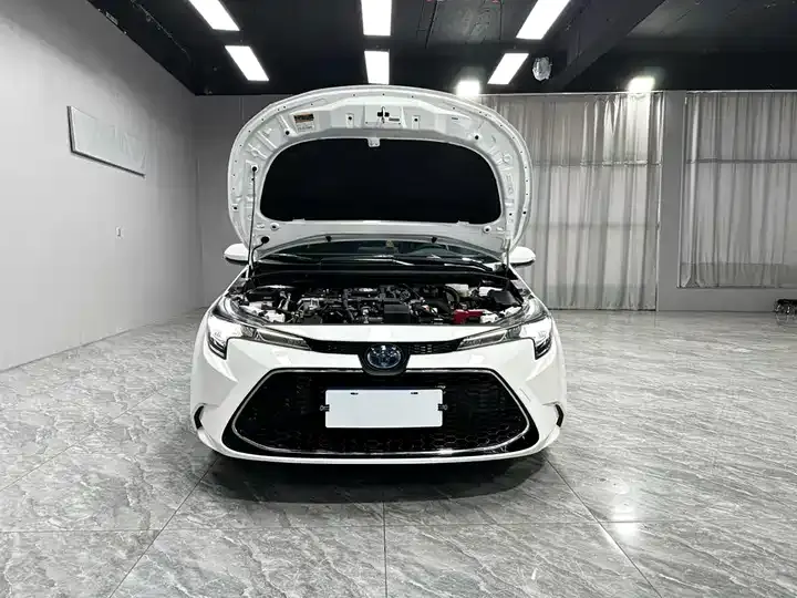 Levin 2022 Dual-Engine 1.8H E-CVT Luxury Edition 6