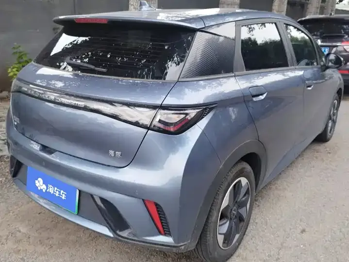 Dolphin 2024 Glory Edition 420km Free Edition 3