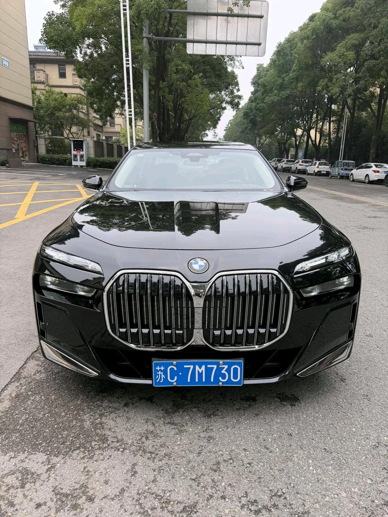 BMW 7 Series (Imported) 2023 735Li 48V 3.0T M Sports Suit Automatic Gear 8
