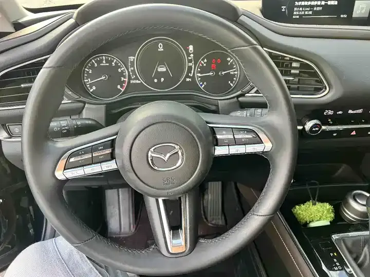 Mazda CX-30 2021 2.0L Auto Jiayue 9