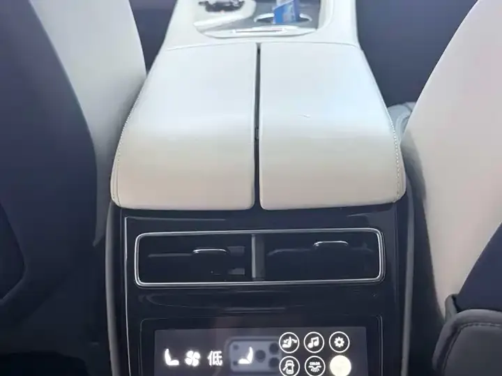 Zeekr 001 2023 YOU Edition 100kWh 7