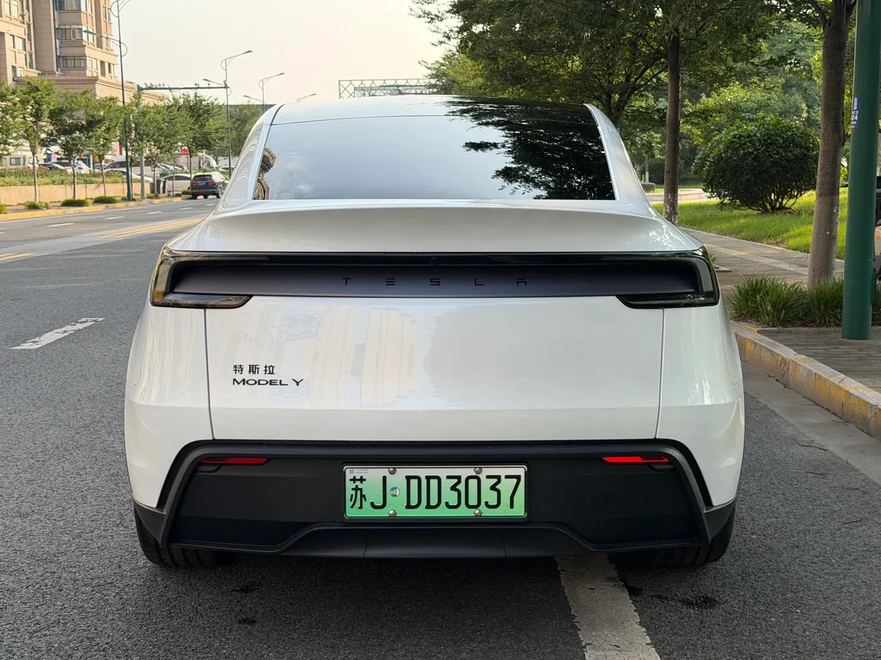 Tesla 2026 Model Y Rear-Wheel-Drive Automatic 6