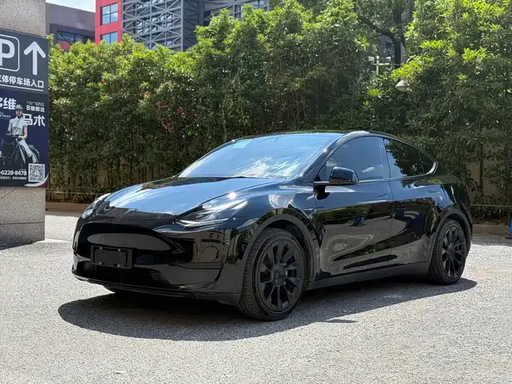 2022 Model Y Rear-Wheel Drive Edition - View 1
