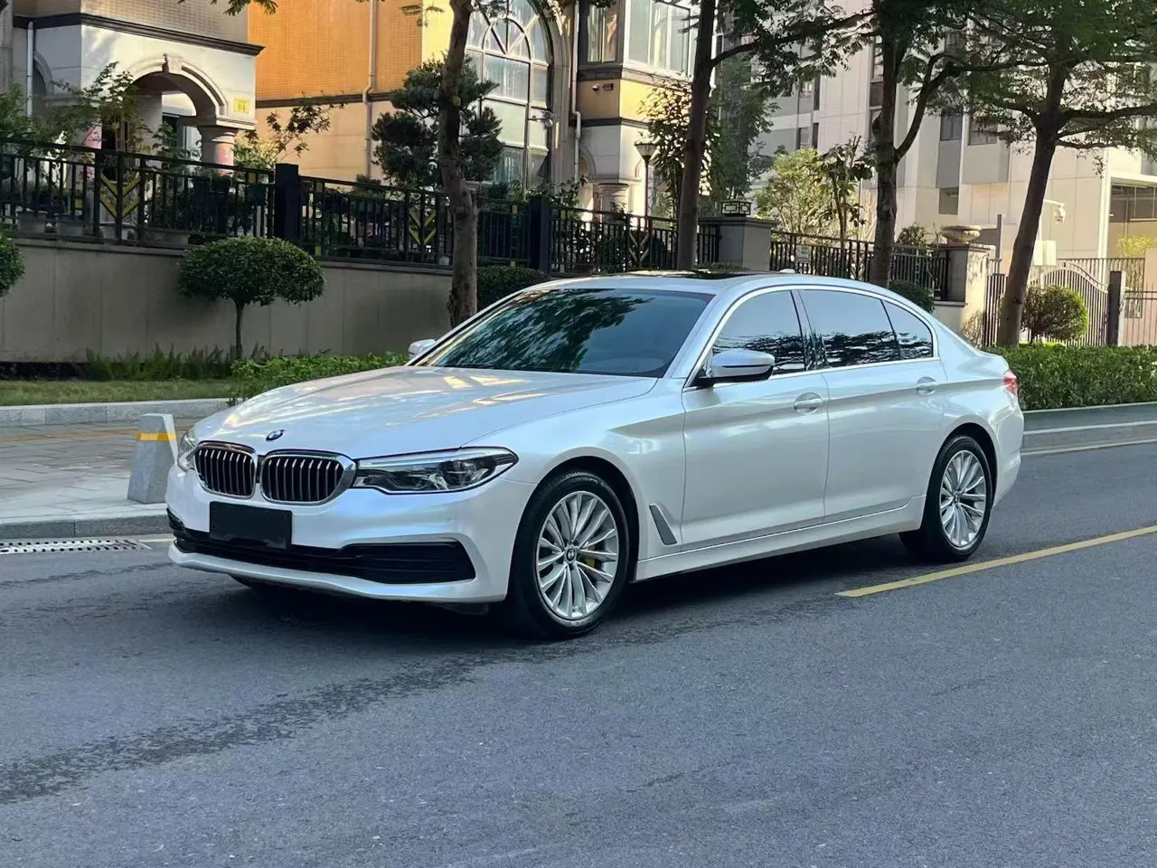 BMW 5 Series 2020 530Li 2.0T Premium Luxury Suit Automatic Gear - View 1