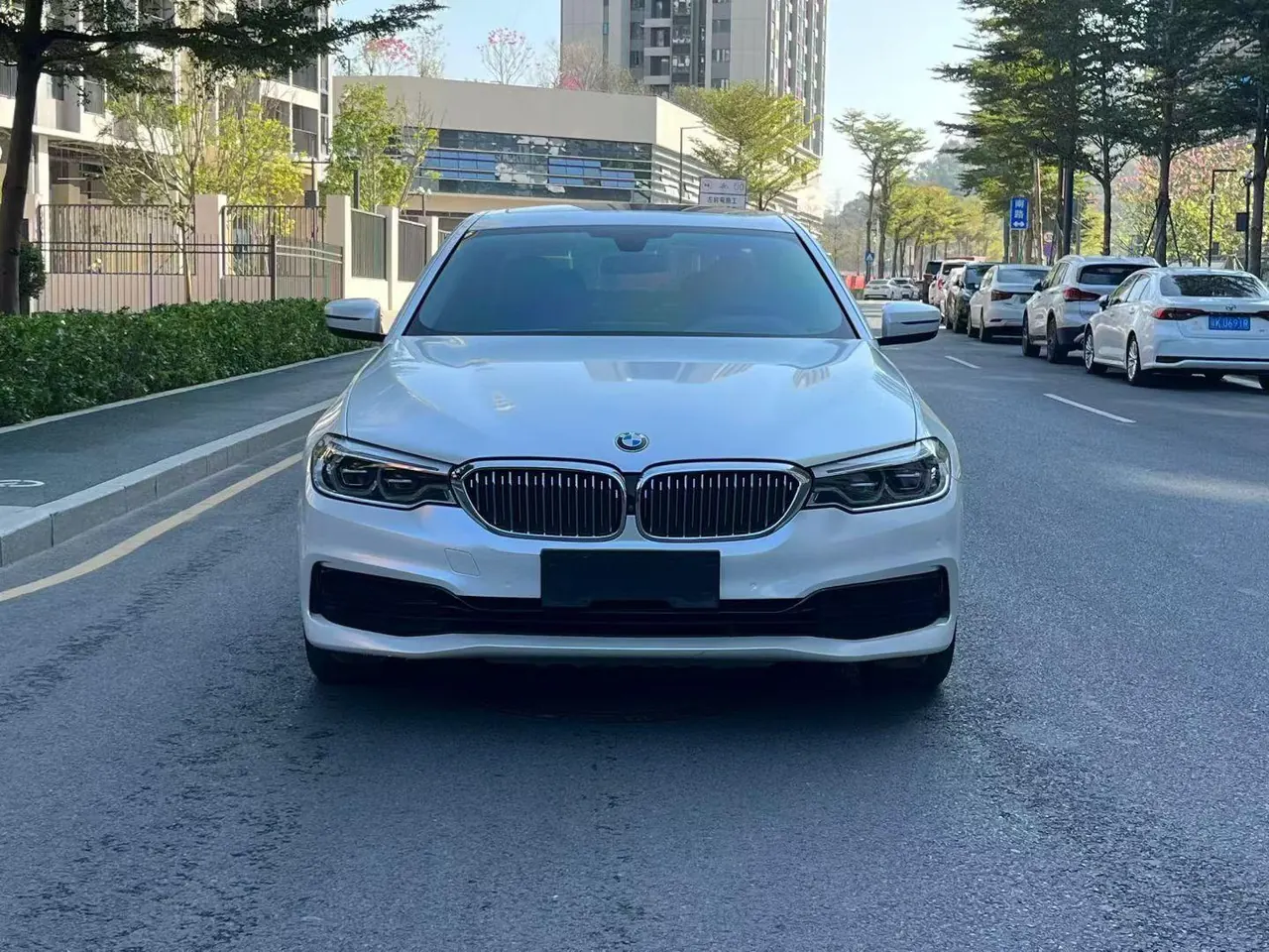 BMW 5 Series 2020 530Li 2.0T Premium Luxury Suit Automatic Gear 2