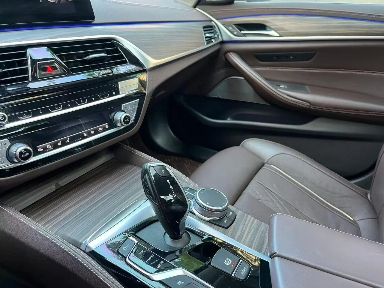 BMW 5 Series 2020 530Li 2.0T Premium Luxury Suit Automatic Gear 5