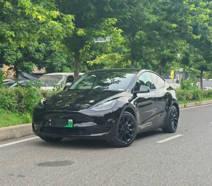 Tesla 2022 Model Y rear-wheel drive version automatic transmission - View 1