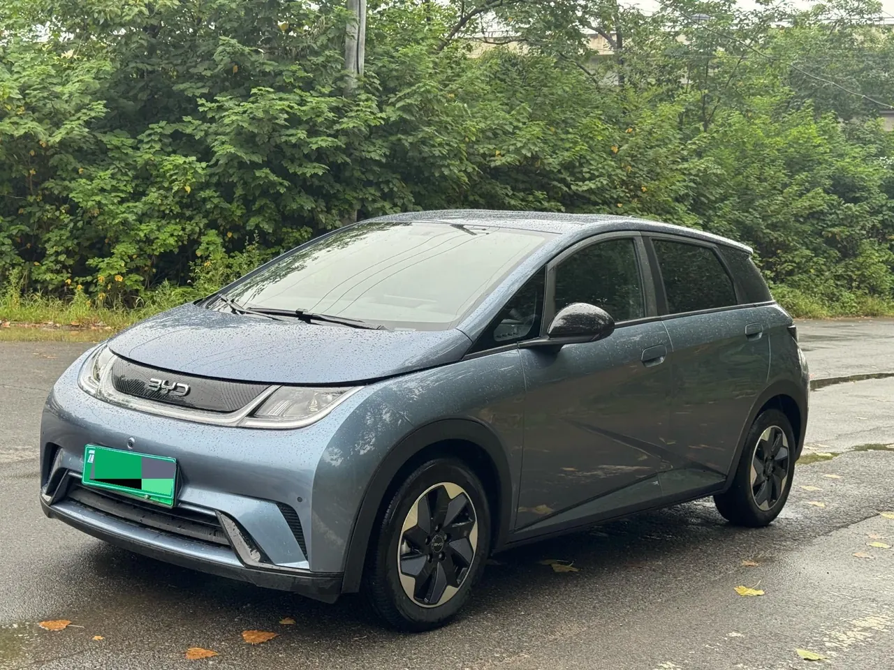 BYD 2025 Dolphin 420km Vital Edition Automatic Gear - View 1