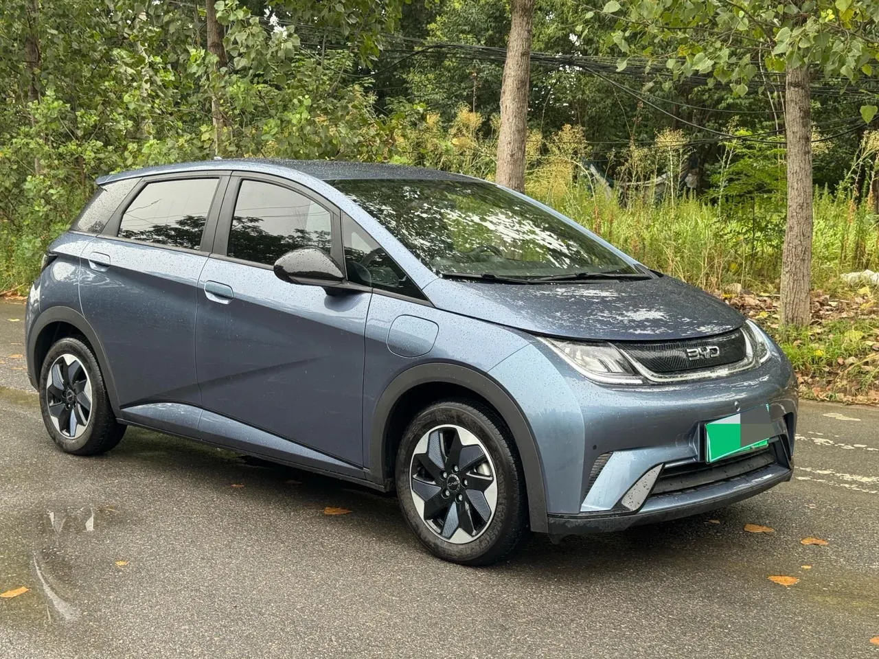 BYD 2025 Dolphin 420km Vital Edition Automatic Gear 2